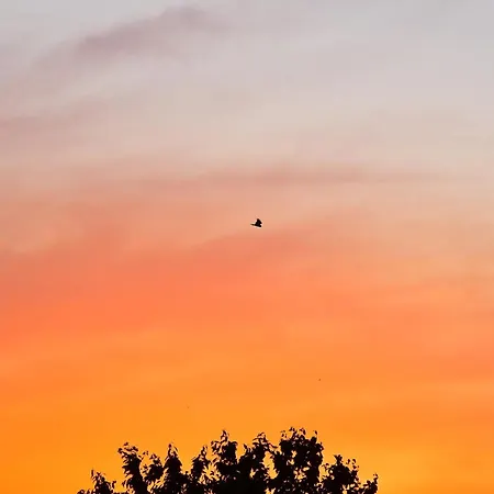 بيت للعطل Behaglicher Fuer Mensch Und Hund *