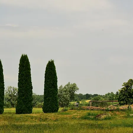 Behaglicher Fuer Mensch Und Hund * Barkhagen