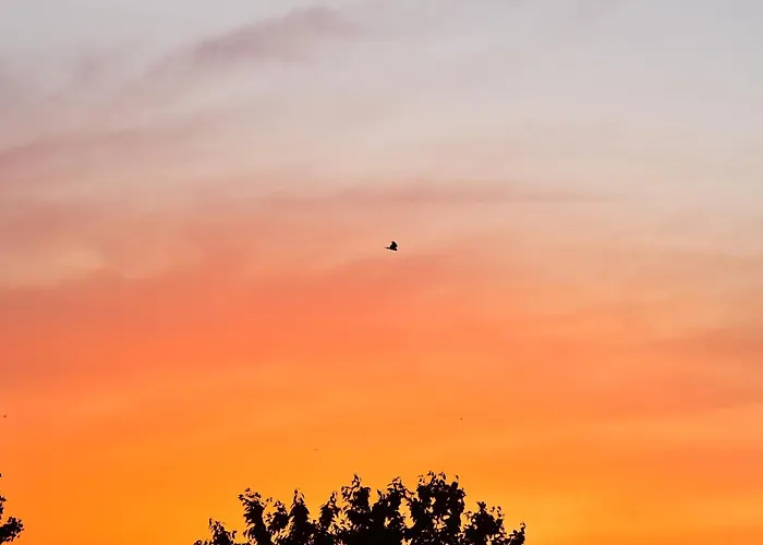 Hébergement de vacances Behaglicher Fuer Mensch Und Hund *