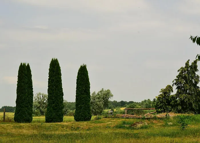 Behaglicher Fuer Mensch Und Hund * Barkhagen
